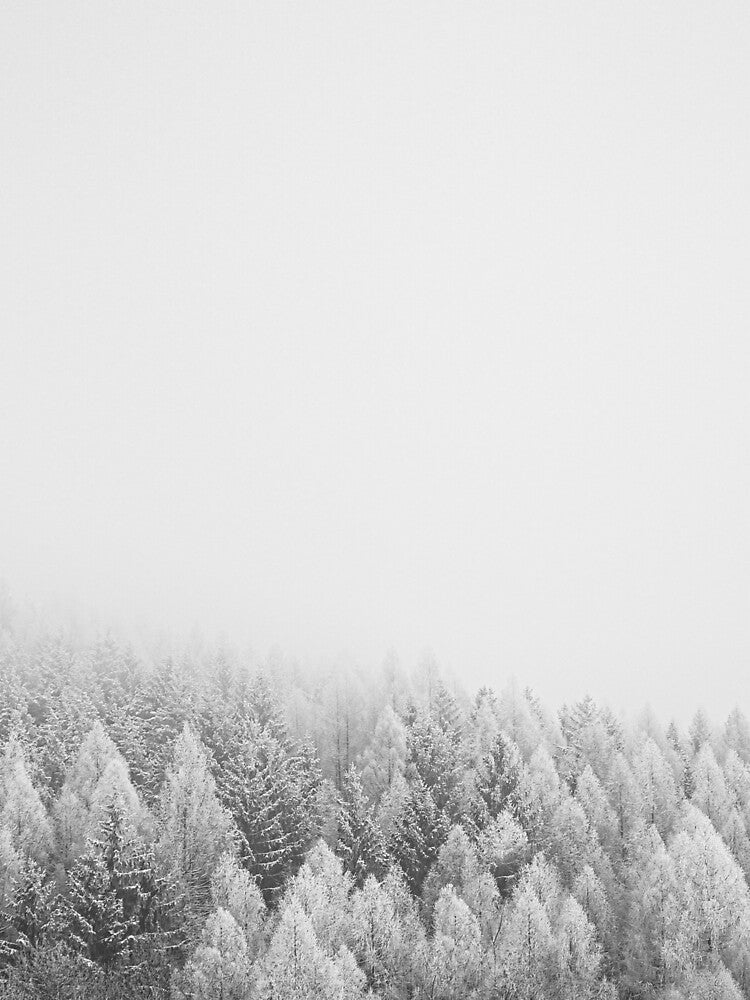 winter wonderland by wishescometrue