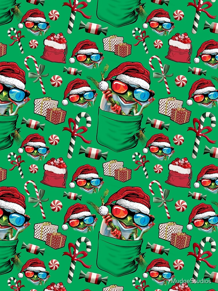Christmas Frog Santa Hat by MudgeStudios