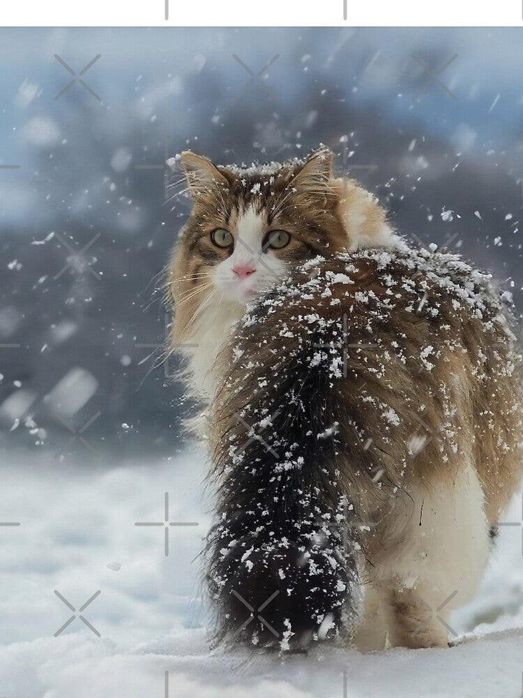 Fluffy Cat Winter Art by MB-CatPrints