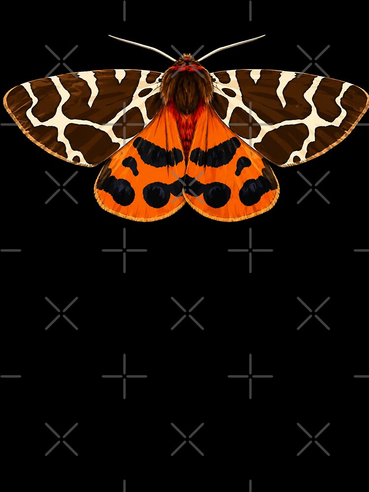 Garden Tiger Moth Arctia caja Cartoon Style by Harpagann