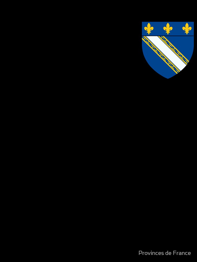 Coat of arms of Troyes by Provinces de France