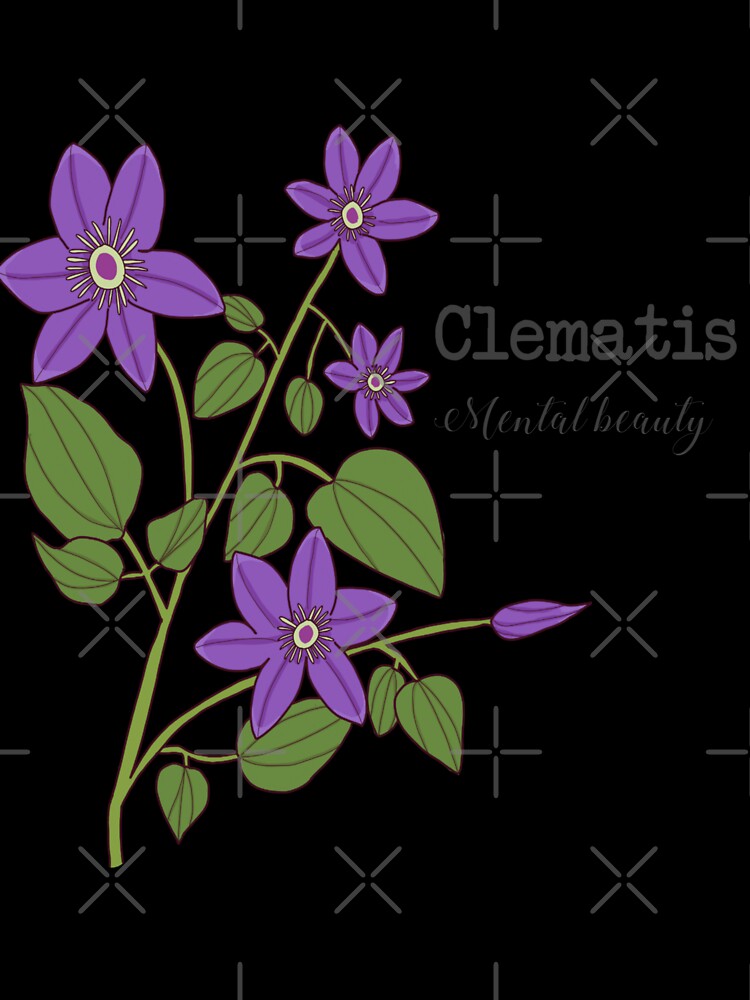 Clematis (mental beauty) by Becky-Marie