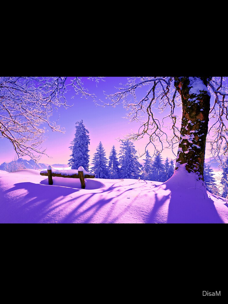 Winter wonderland by DisaM