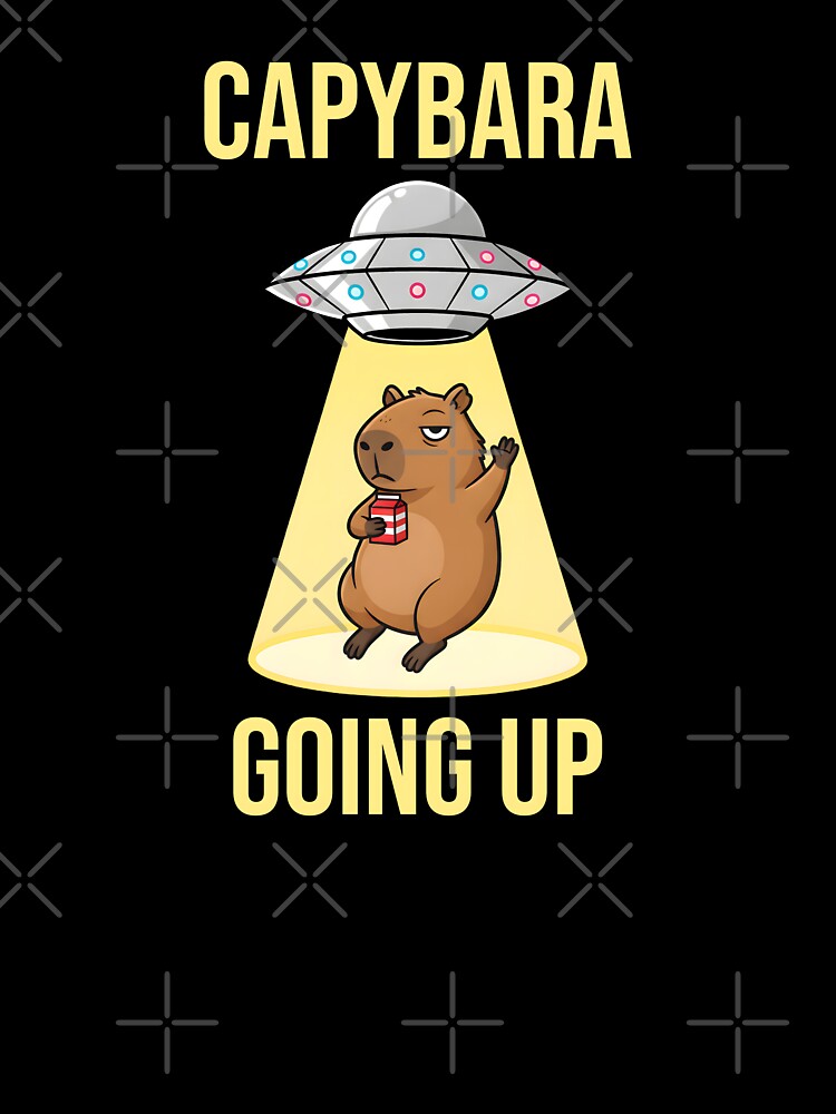 Capybara Going Up Chillest Alien Flying Saucers by at85productions