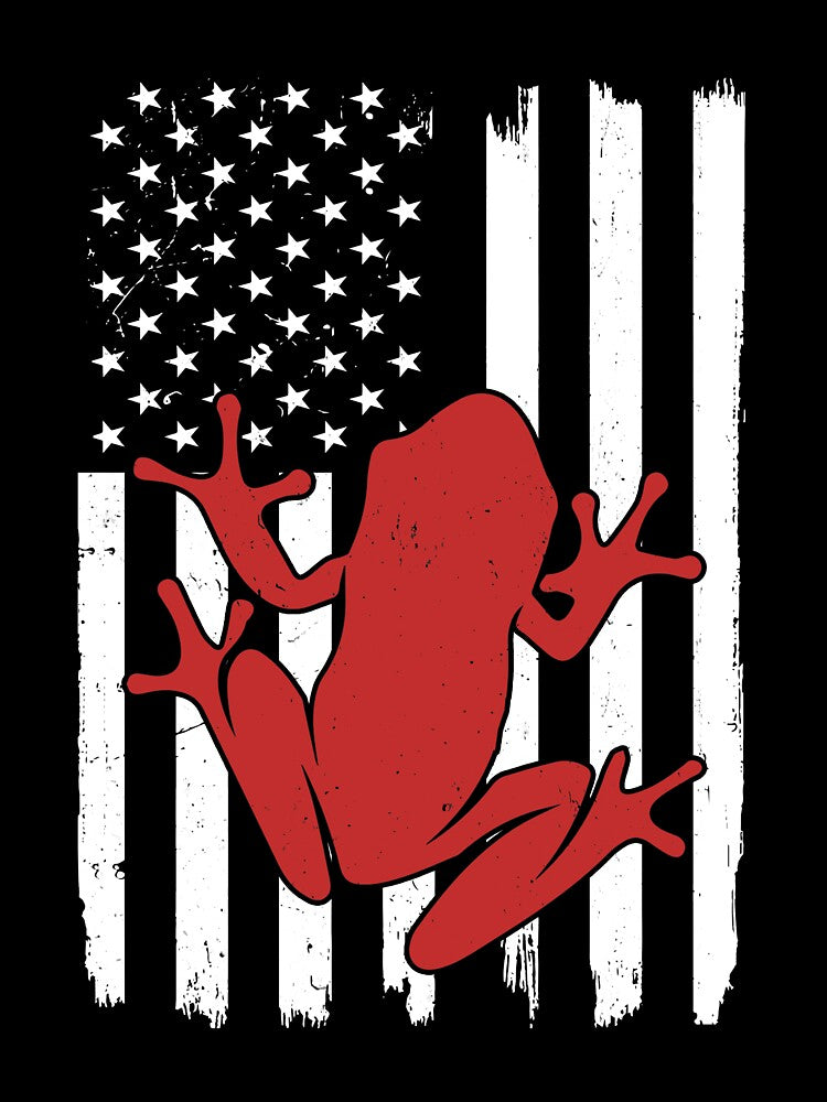 Retro Frog American Flag by LittleShop79