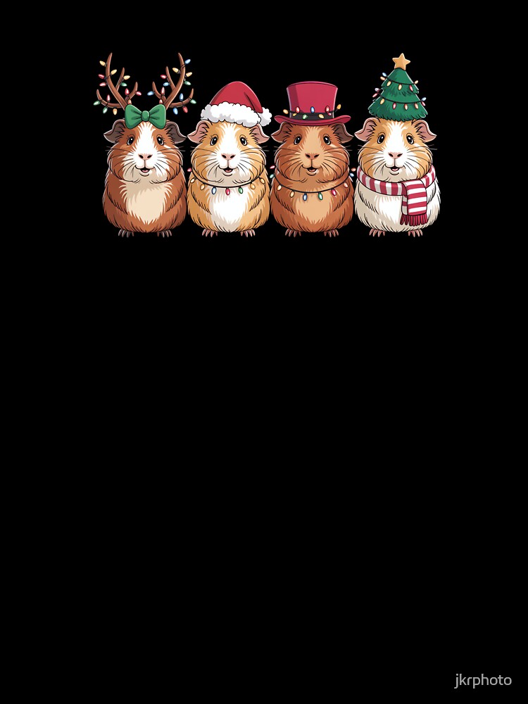 Festive Guinea Pigs by jkrphoto