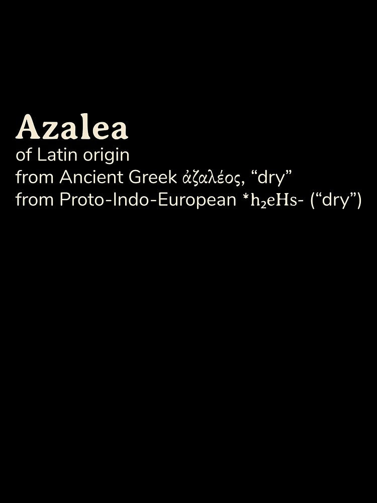 Azalea name etymology by YourNameStory