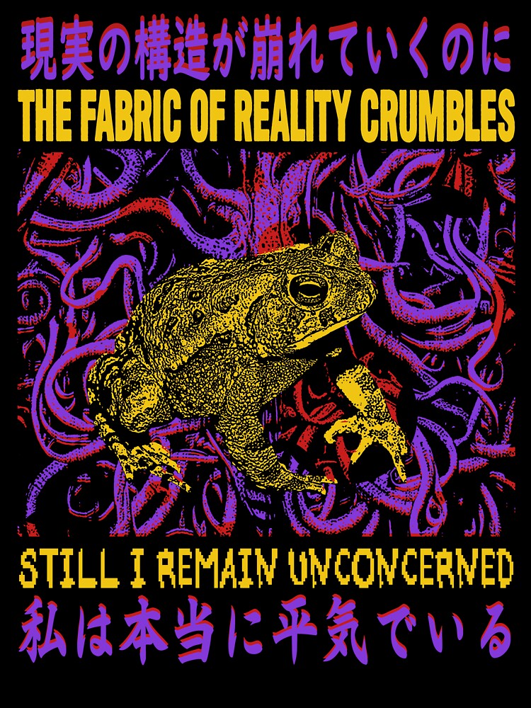 Reality Crumbles Frog by VintageMedatsu