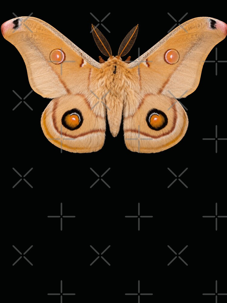 Emperor Gum Moth Opodiphthera eucalypti Realistic Style by Harpagann
