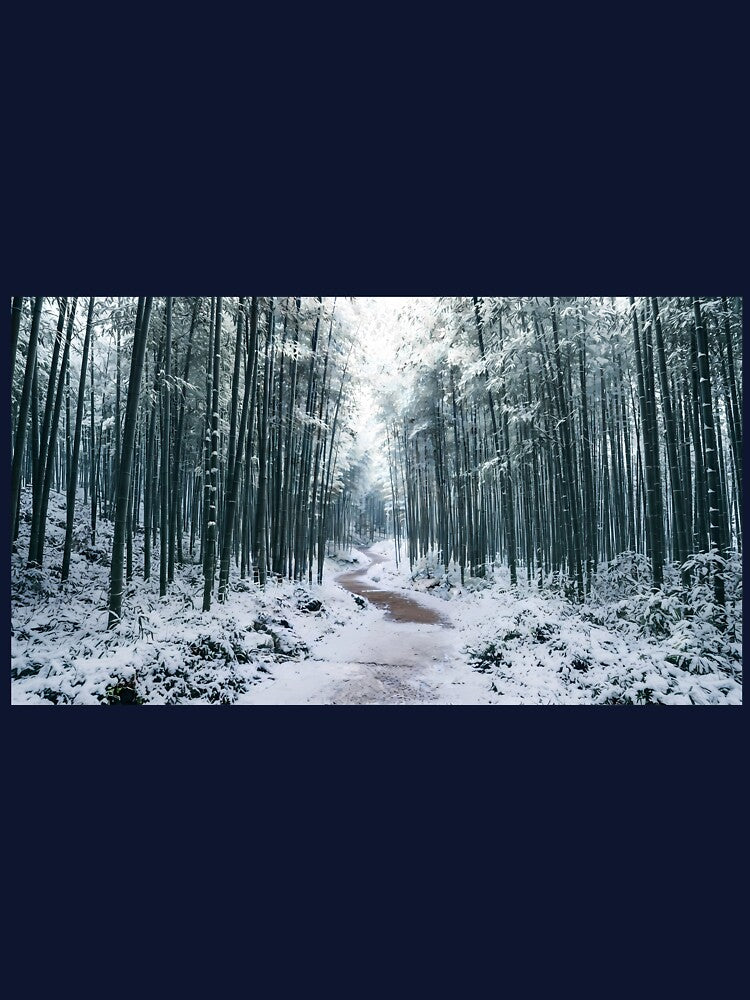 Damyang Juknokwon Bamboo Forest in Winter - Snowy Serenity and Quiet Path by SOOstudio73