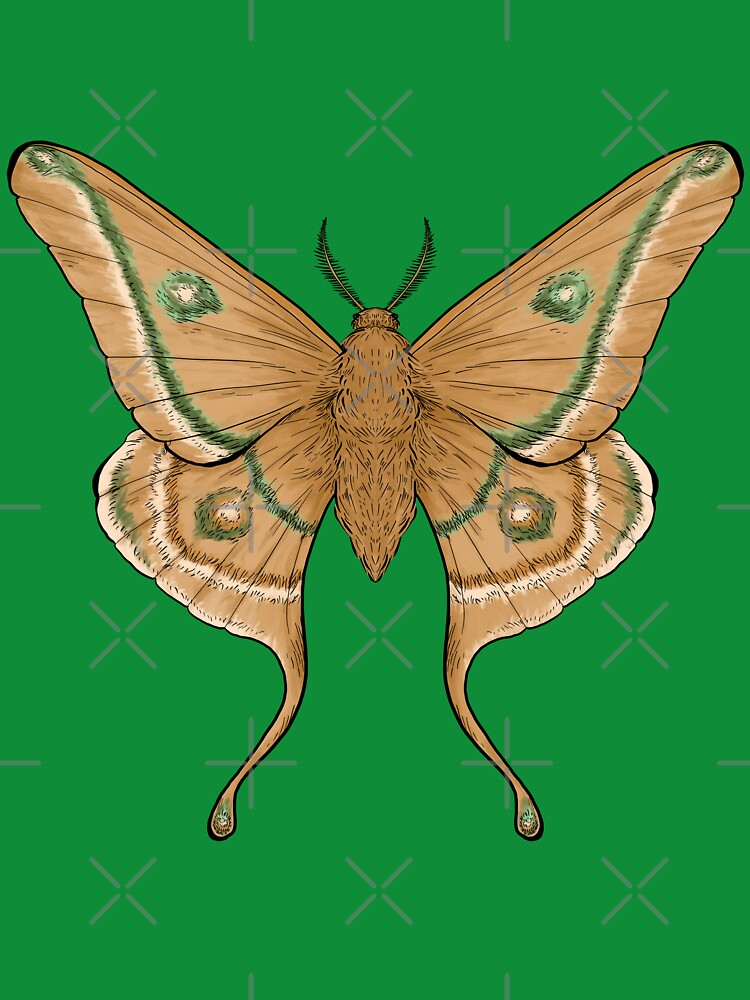 Moth by kils-treehouse