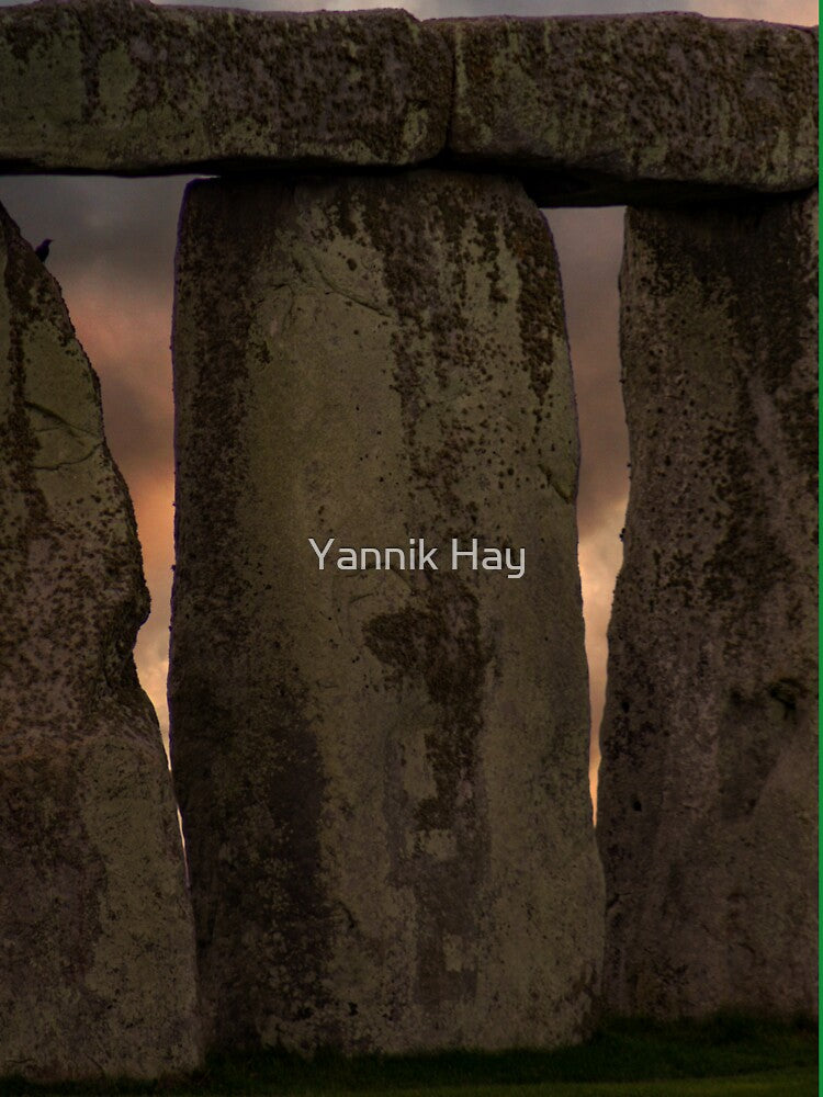 Winter Solstice by Yannik Hay