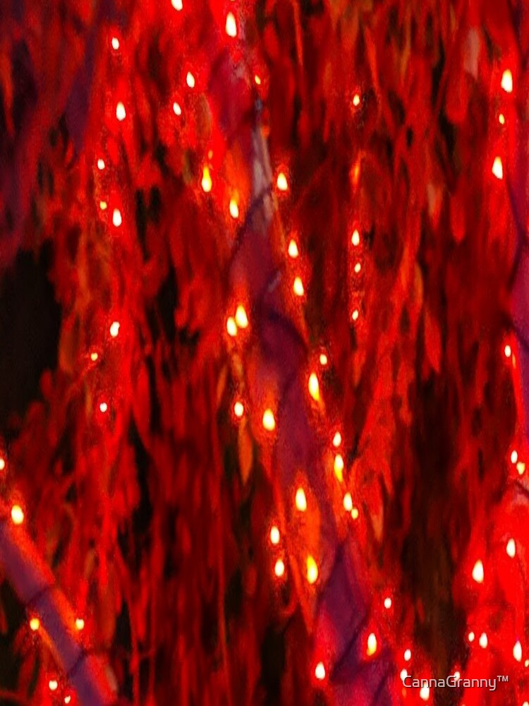 Christmas lights by  CannaGranny™