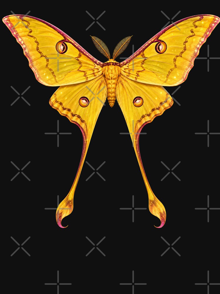 Comet Moth Argema mittrei Cartoon Style by Harpagann