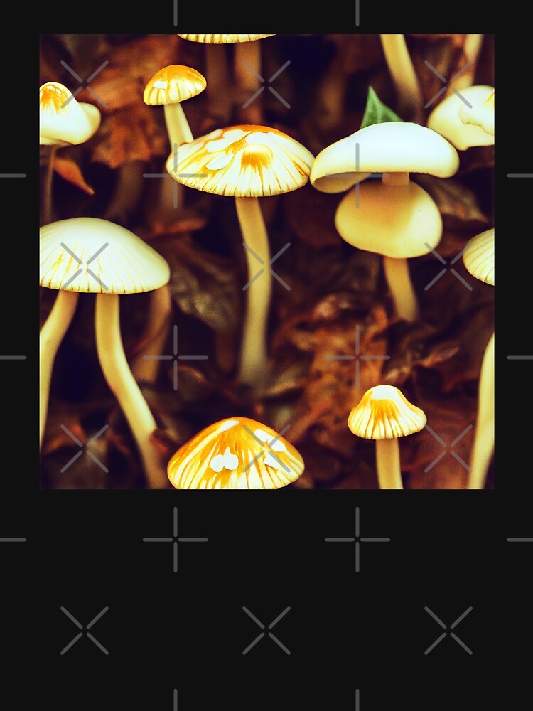 Small mushrooms growing from the forest floor by JinxedMonster