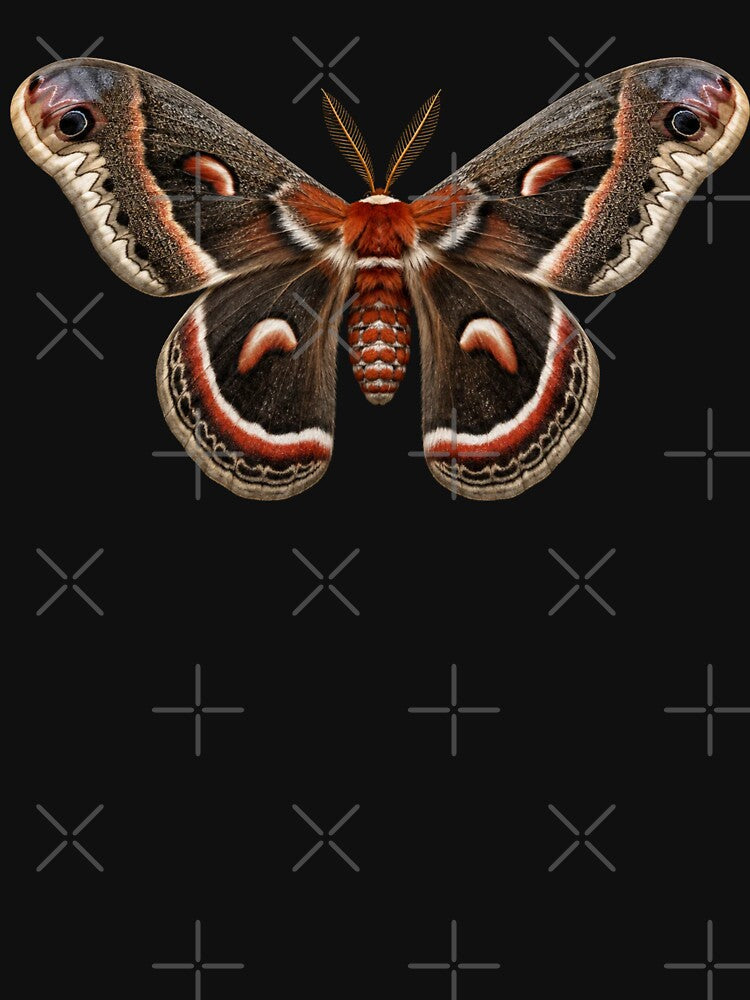 Cecropia Moth Hyalophora cecropia Realistic Style by Harpagann