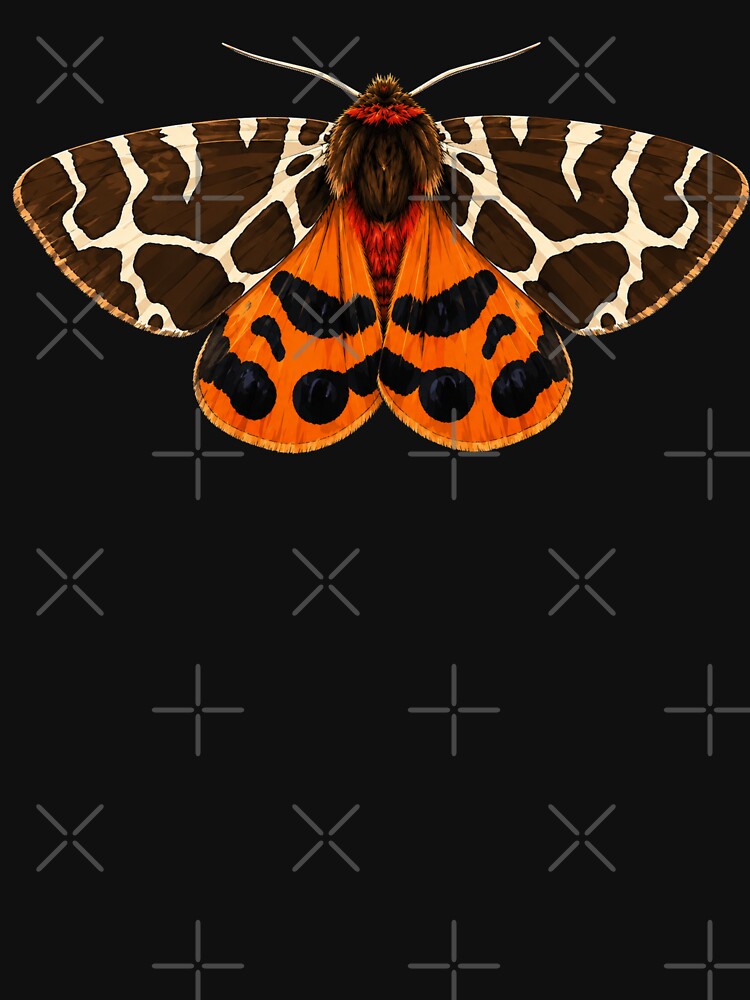 Garden Tiger Moth Arctia caja by Harpagann