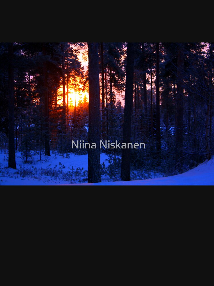 The Winter Solstice by Niina  Niskanen