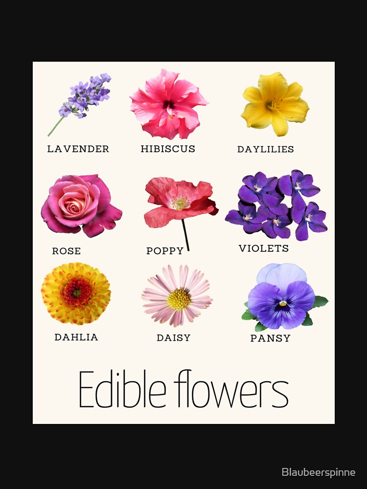 Edible flowers, Cottagecore, flowers by Blaubeerspinne