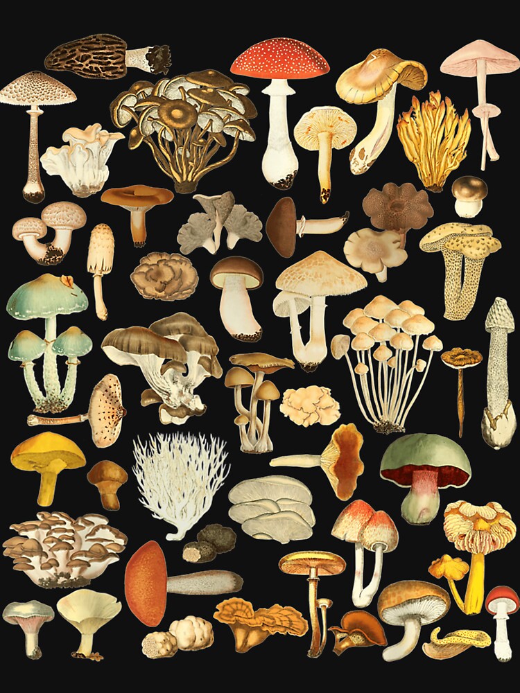 Mushroom Shirt Mycology Fungi Foraging Mushroom Whisperer . by HaydenLee162397