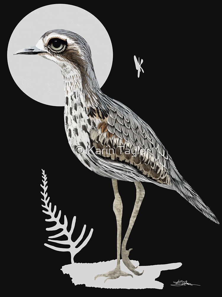 Bush Stone-curlew by Karin Taylor