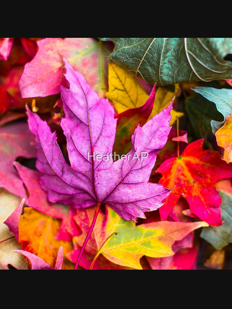Autumn Leaves by HeatherAP