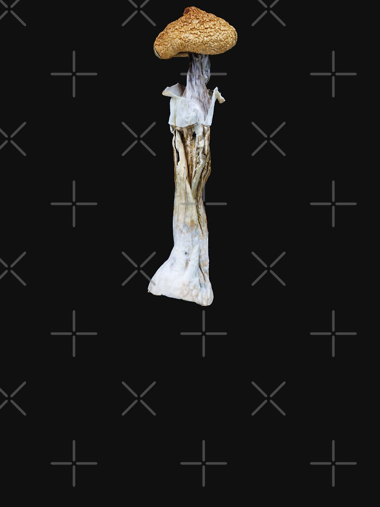 Psilocybe Cubensis Mushroom by Mindhive Visuals