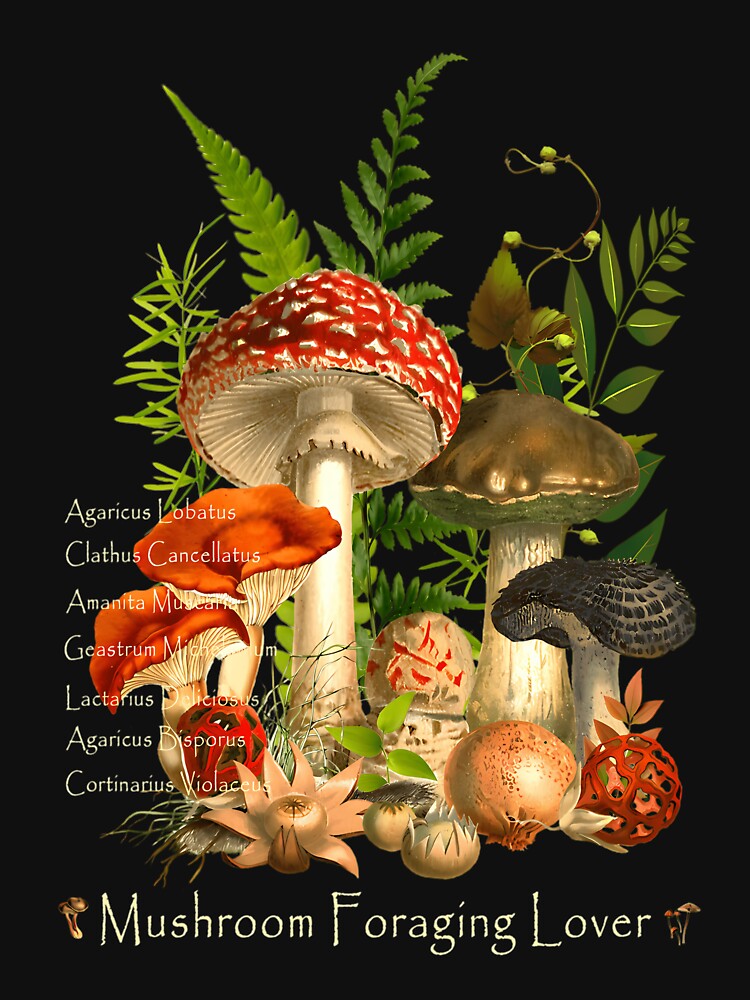 Mushroom Foraging Lover Botanical Fungi Collage by nipunifekniy