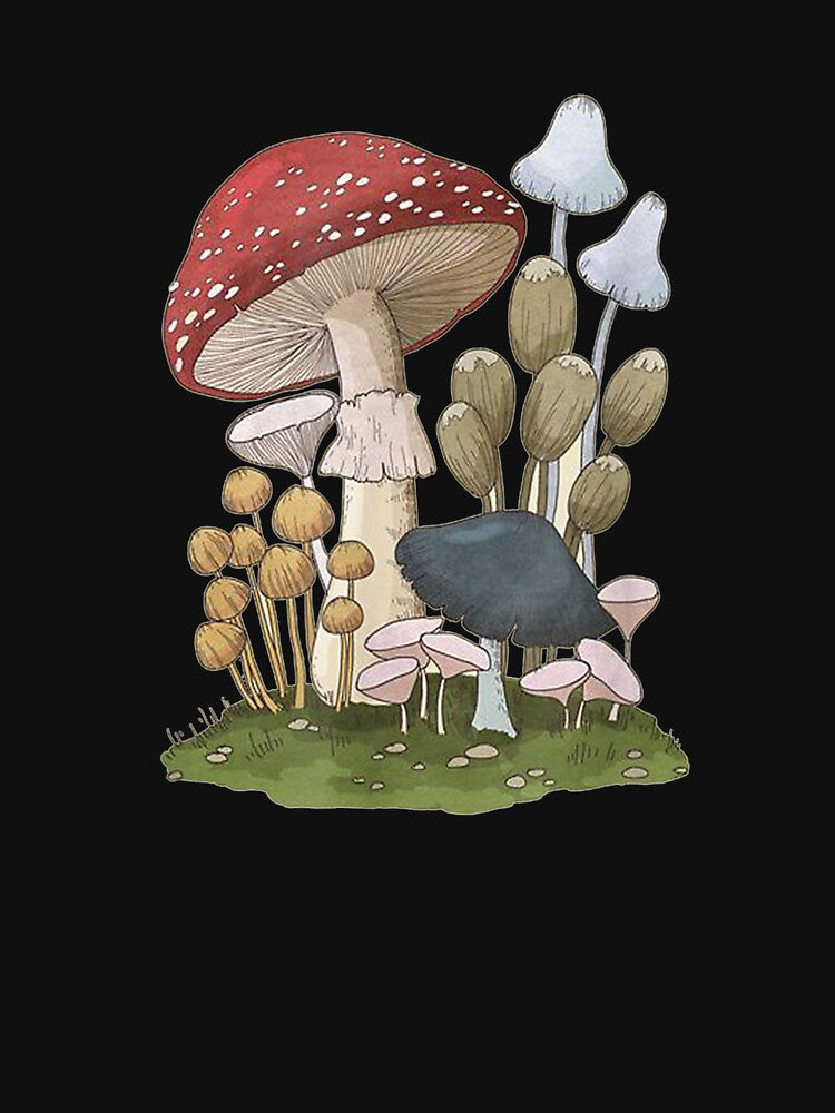 Mushroom Mycology Fungi Foraging Mushroom Whisperer Gift by dominique235