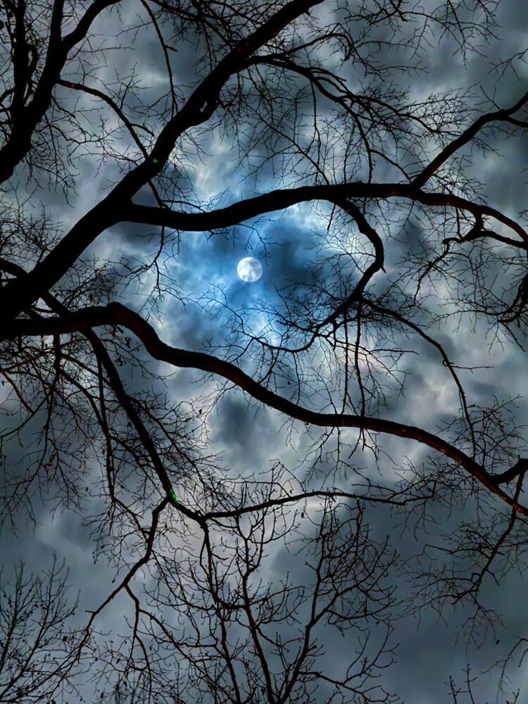 Cold Moon by roadwarriorart