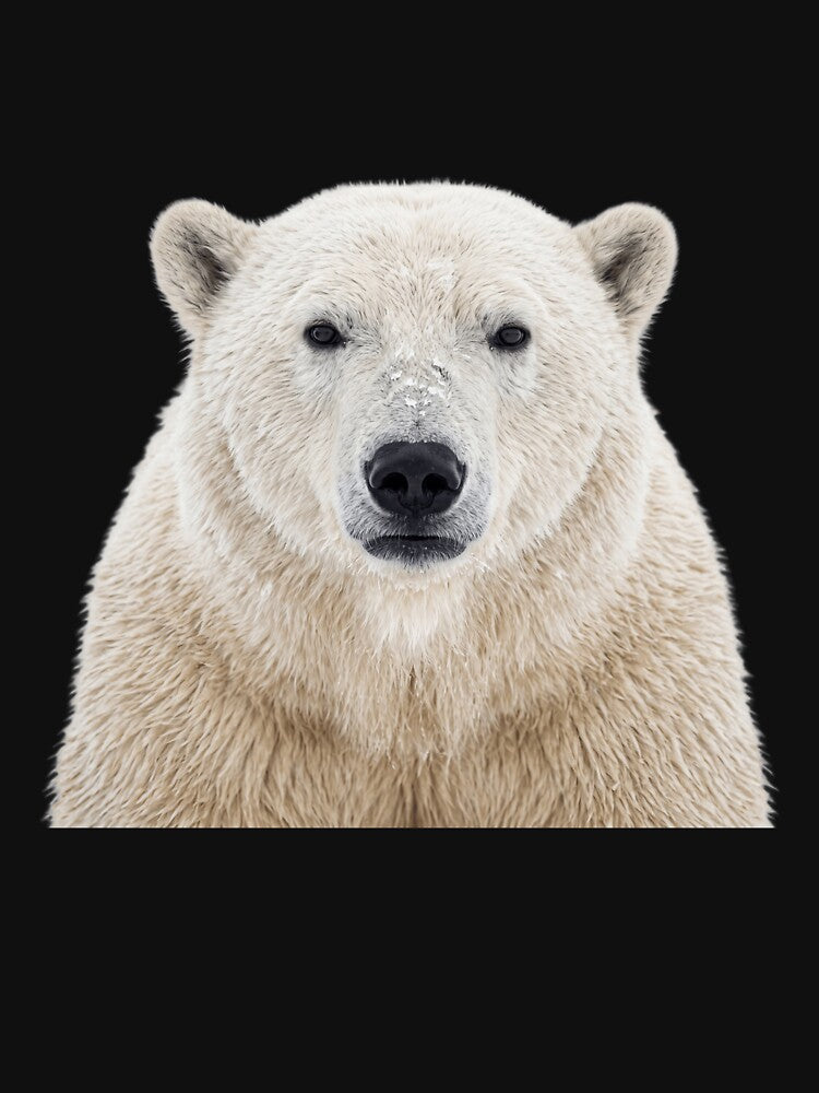 Cute Polar Bear for Polar Bear lovers by RareLavender