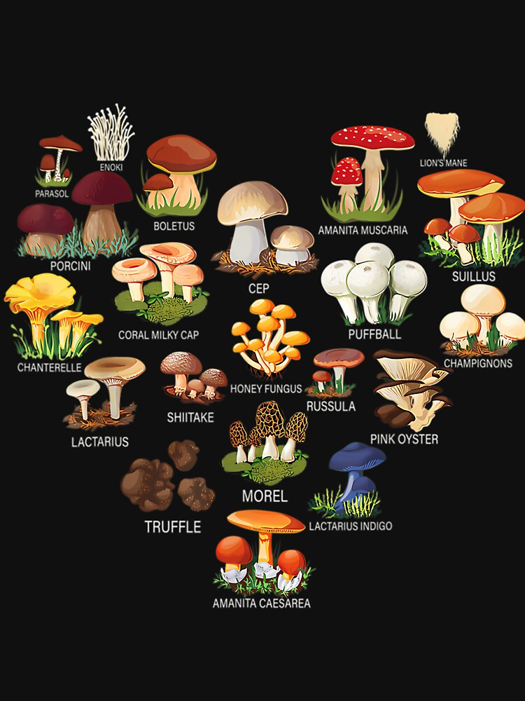 Mycology Foraging Fungi Whisperer by frijazede36