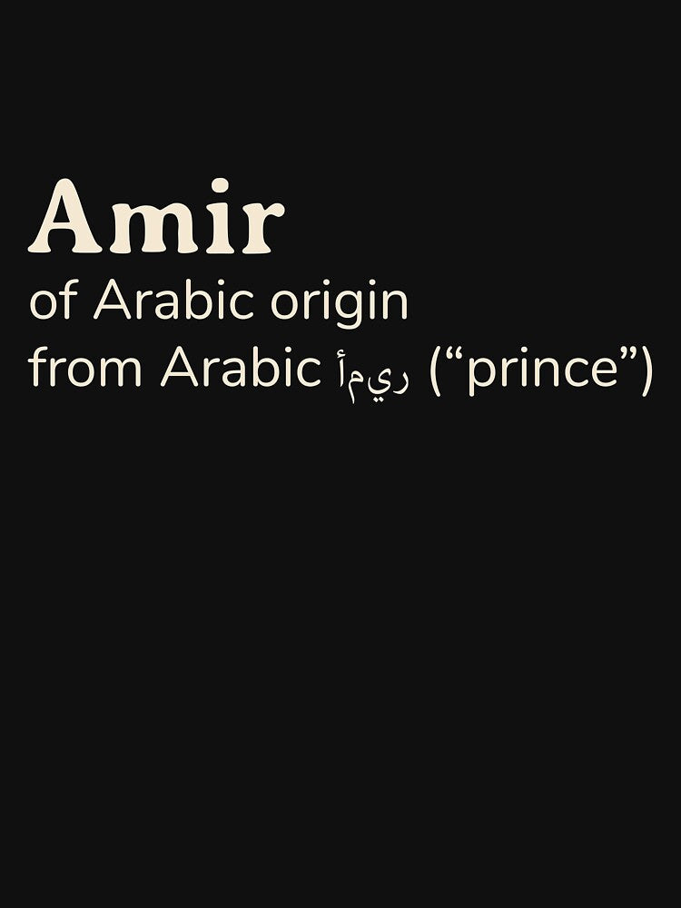Amir name etymology by YourNameStory