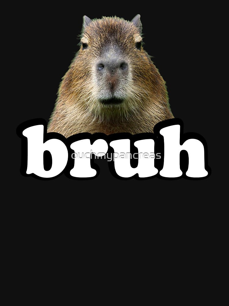 Funny Meme Lover Capybara Bruh by ouchmypancreas