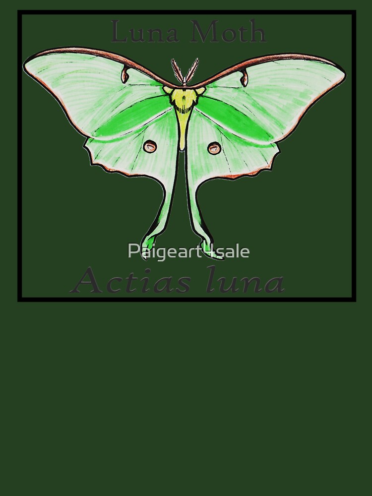 Luna Moth Labeled by Paigeart4sale