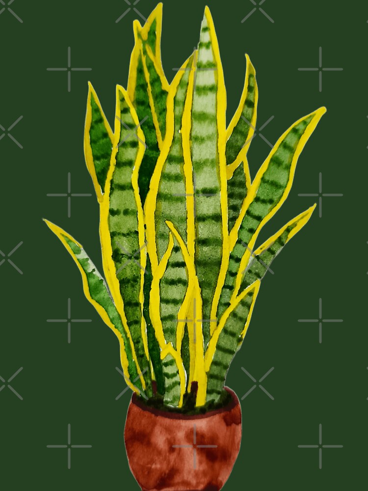 Snake Plant - Hand-Painted with Watercolor. by Greitas