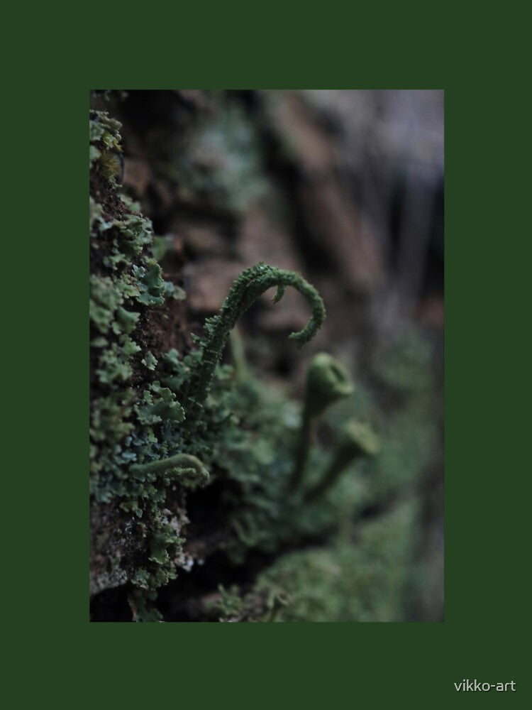 Moody Curled Forest Lichen Macro Photography by vikko-art