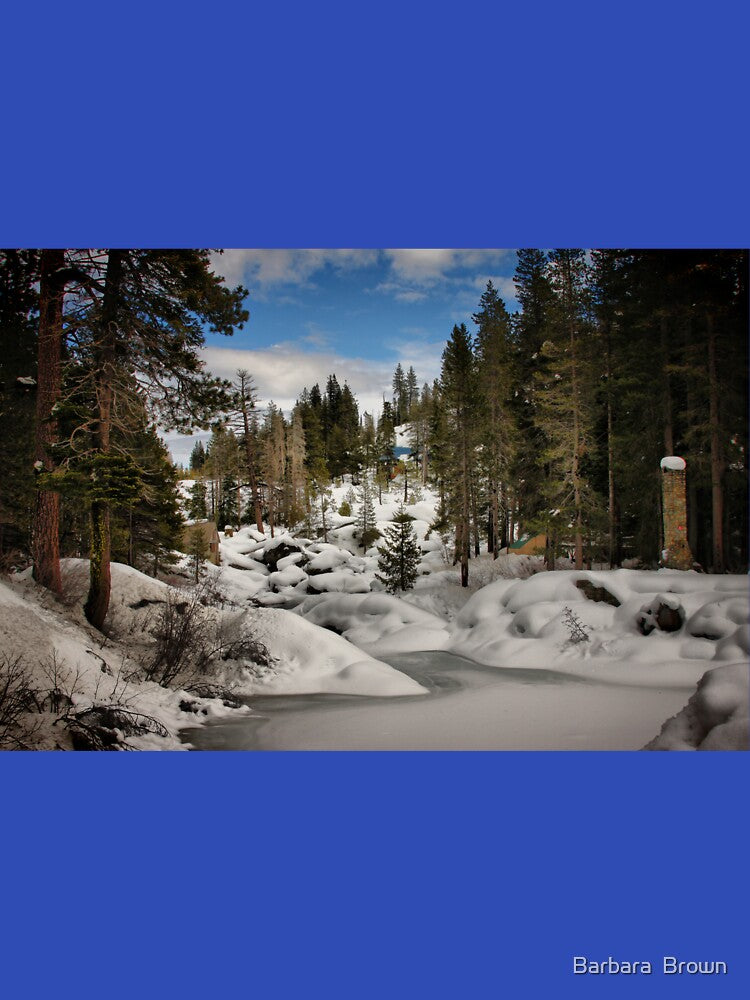 Winter Wonderland by Barbara  Brown