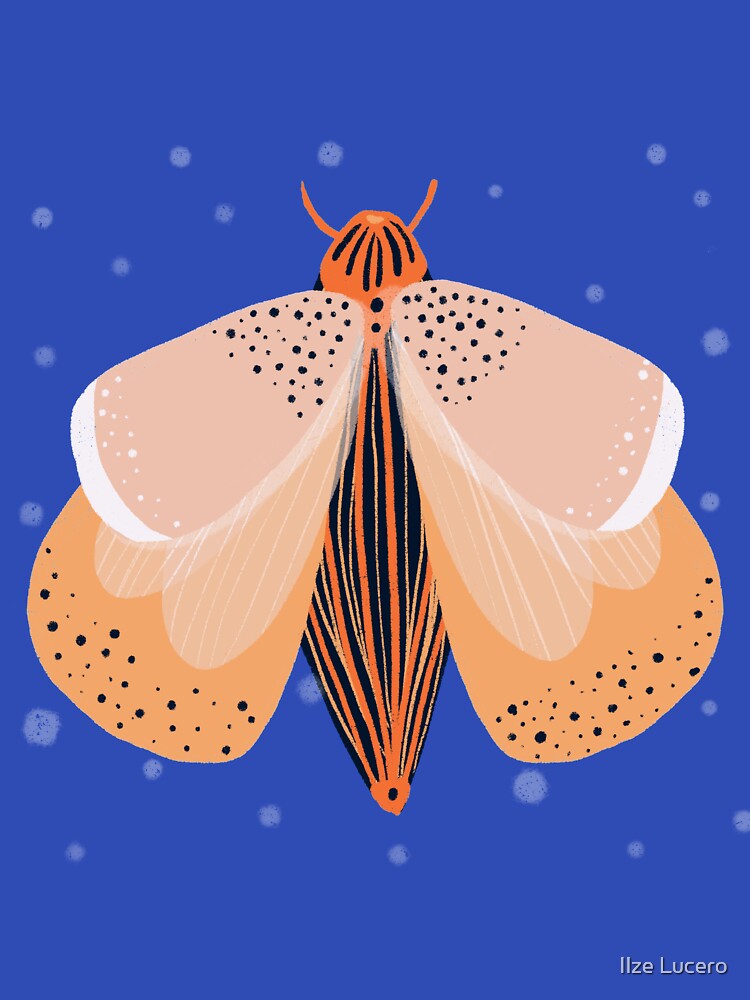 Moth by Ilze Lucero