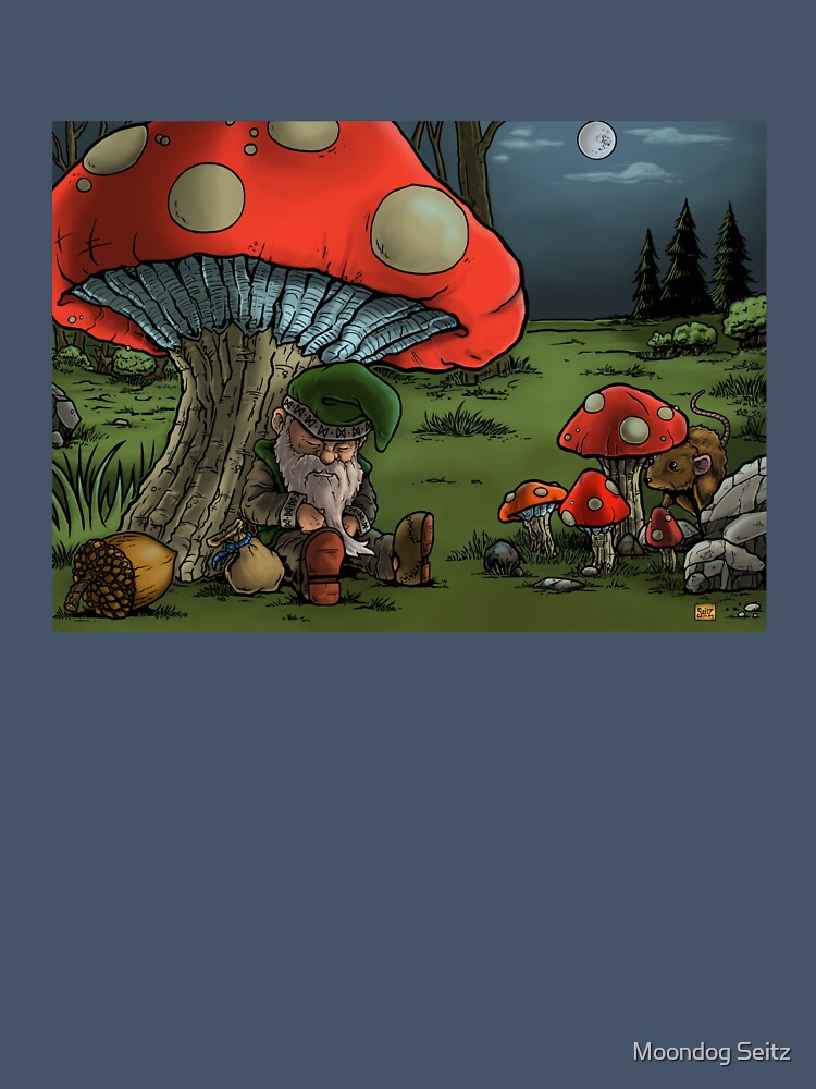 Sleeping Gnome by Moondog Seitz