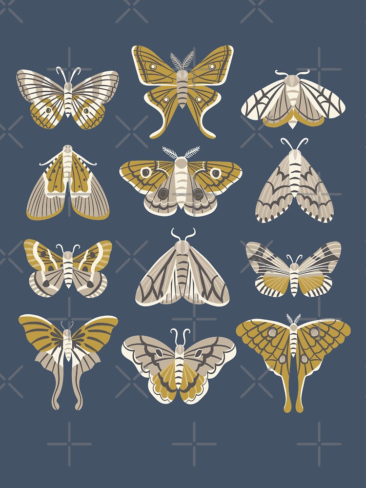 Moths by Allison Romero Design