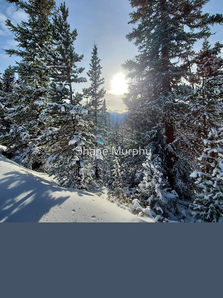 Winter Wonderland by Shane Murphy