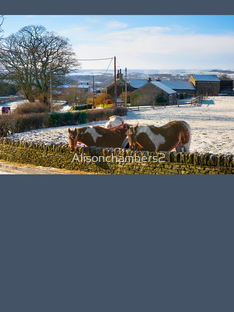 Winter Wonderland horses by Alisonchambers2