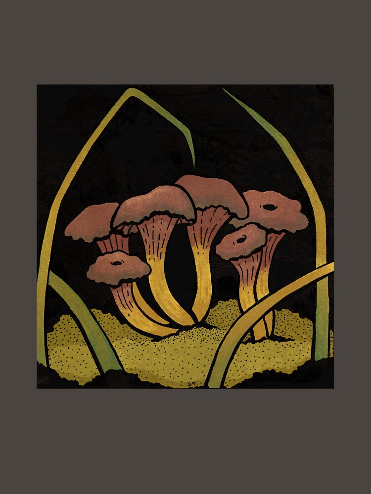 Craterellus tubaeformis by ingah-art