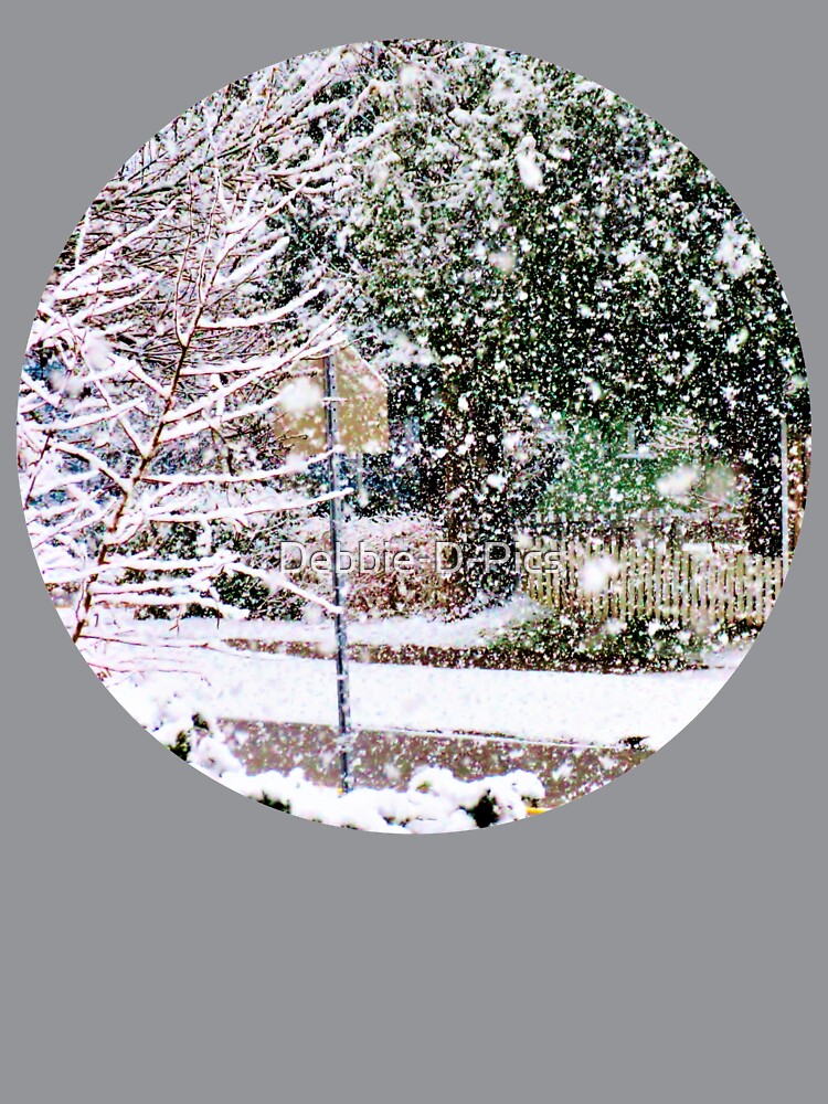 Winter Wonderland! by Debbie-D-Pics