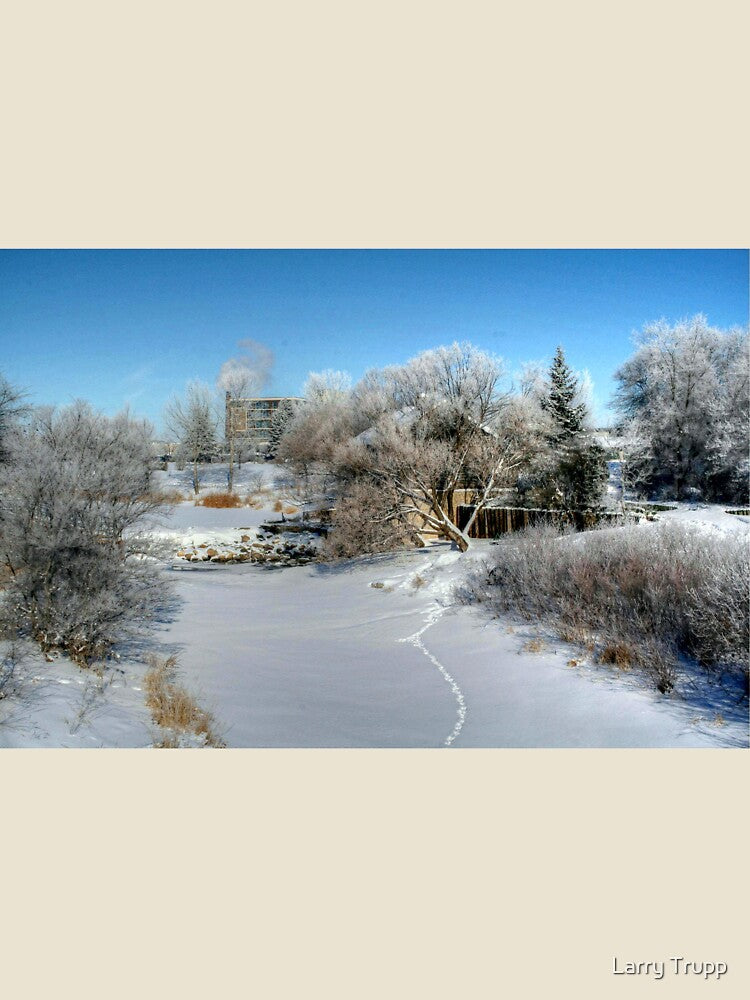 Winter's Wonderland by Larry Trupp
