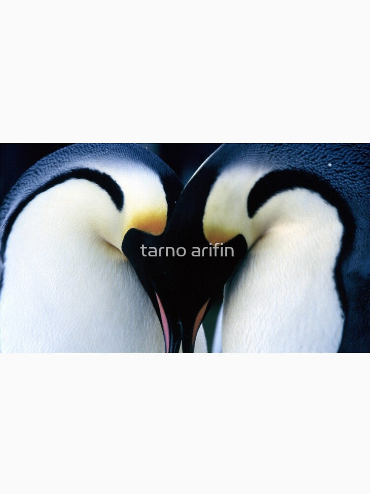 .penguin.winter. by tarno arifin