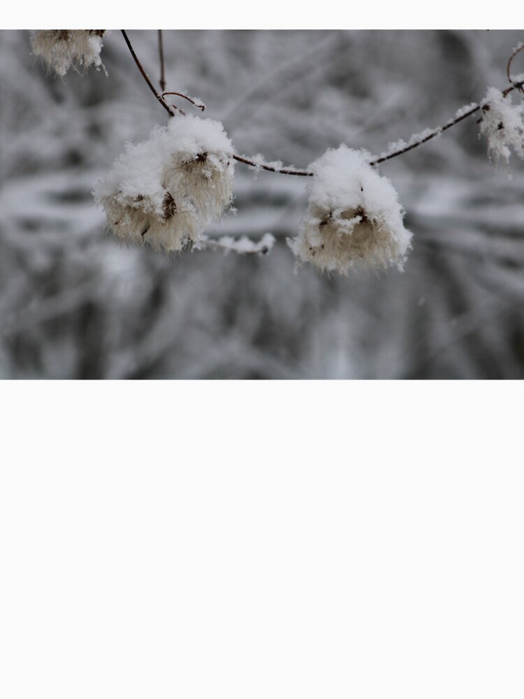 Winter by Liminalities