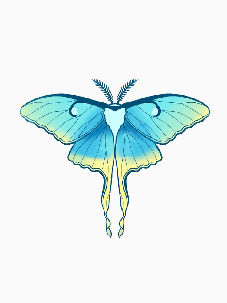 Blue and yellow Chinese Moon Moth by sophieed10