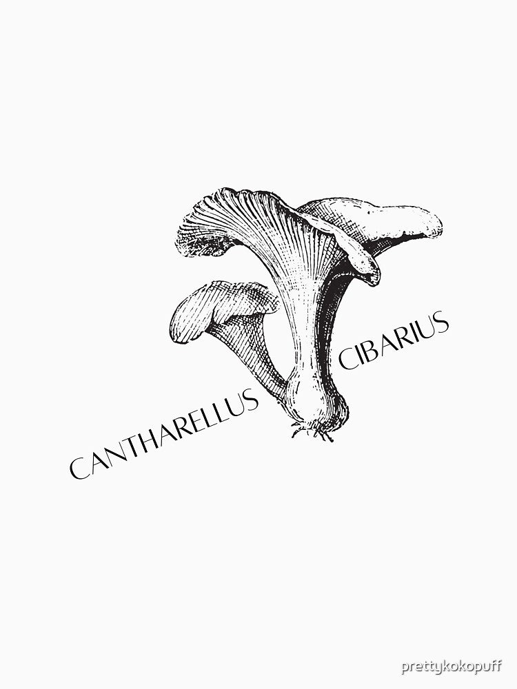 Chanterelle - Cantharellus cibarius by prettykokopuff